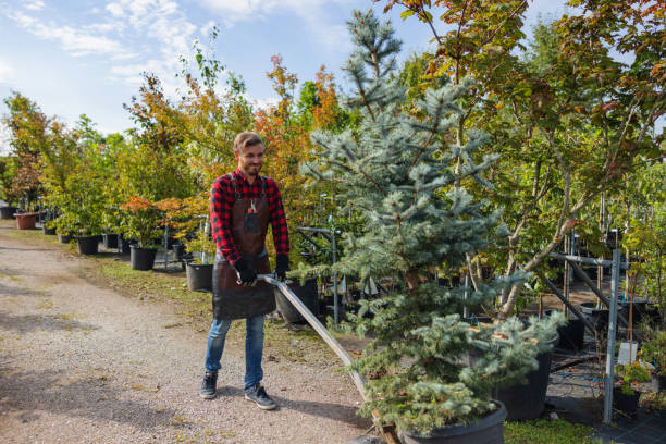  , USA Tree Services Pros